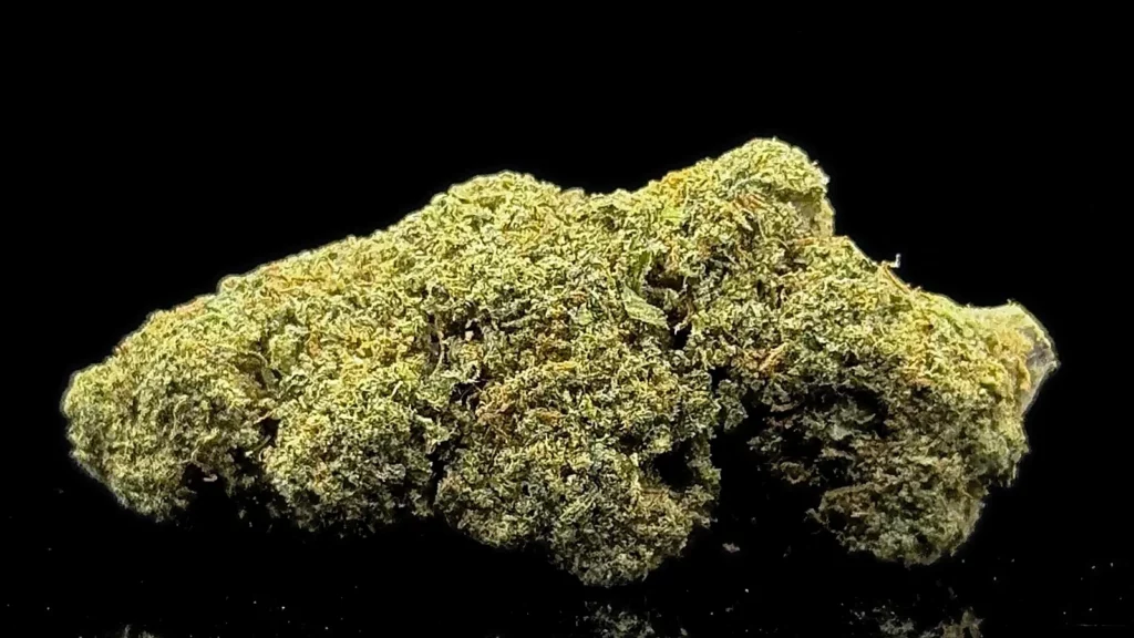 Fleur CBD indoor cultivée en Suisse, Cali Sunset sur fond noir, conforme au seuil français de 0,3 % de THC
