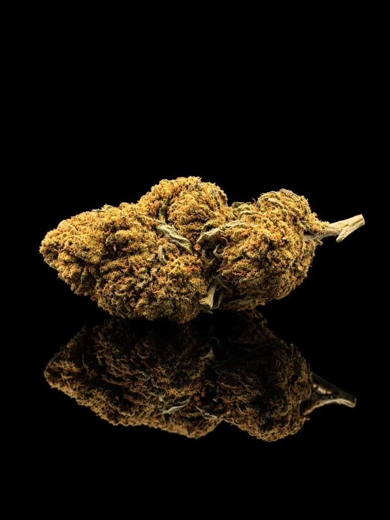 Fleur CBC Hulkberry : tête indoor dense et résineuse aux pistils orangés, sur fond noir