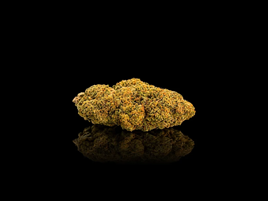 Fleur CBD Mont Blanc : tête dense givrée de trichomes aux pistils orange cuivré, sur fond noir