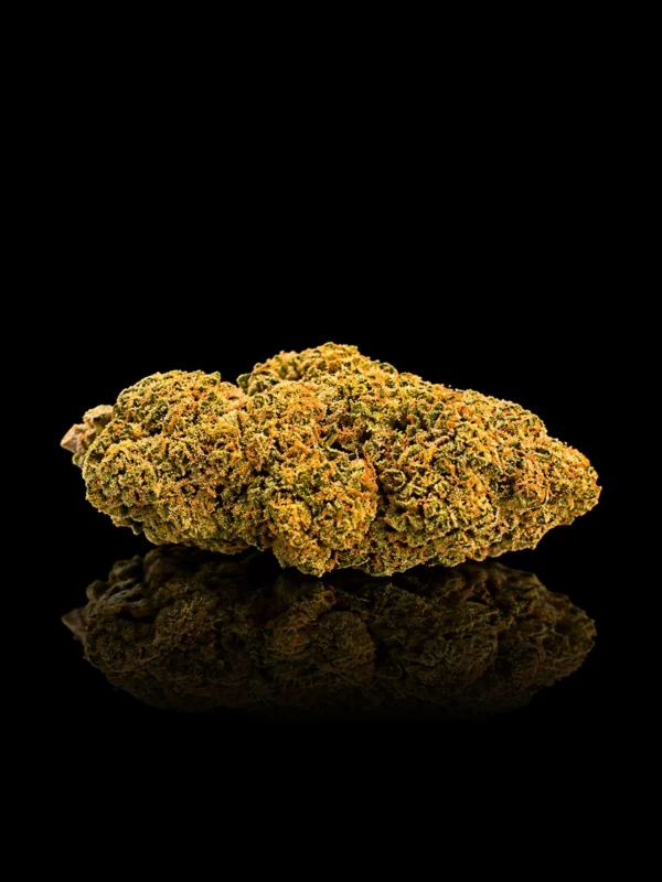 Fleur CBD Mont Blanc : tête dense givrée de trichomes aux pistils orange cuivré, sur fond noir