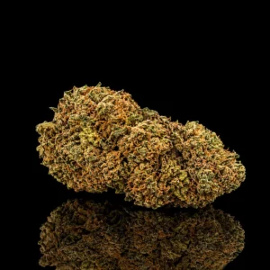 Orange Bud