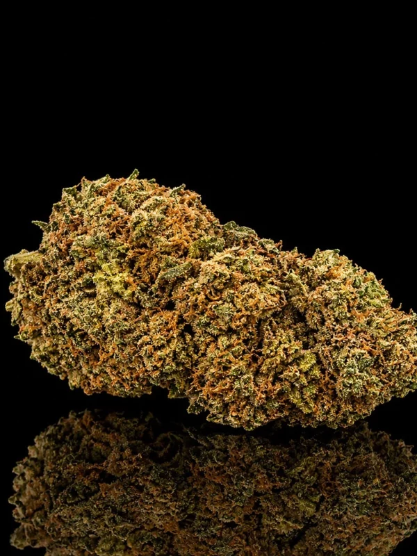 Fleur CBC Orange Bud : tête indoor compacte aux pistils orange vif, sur fond noir