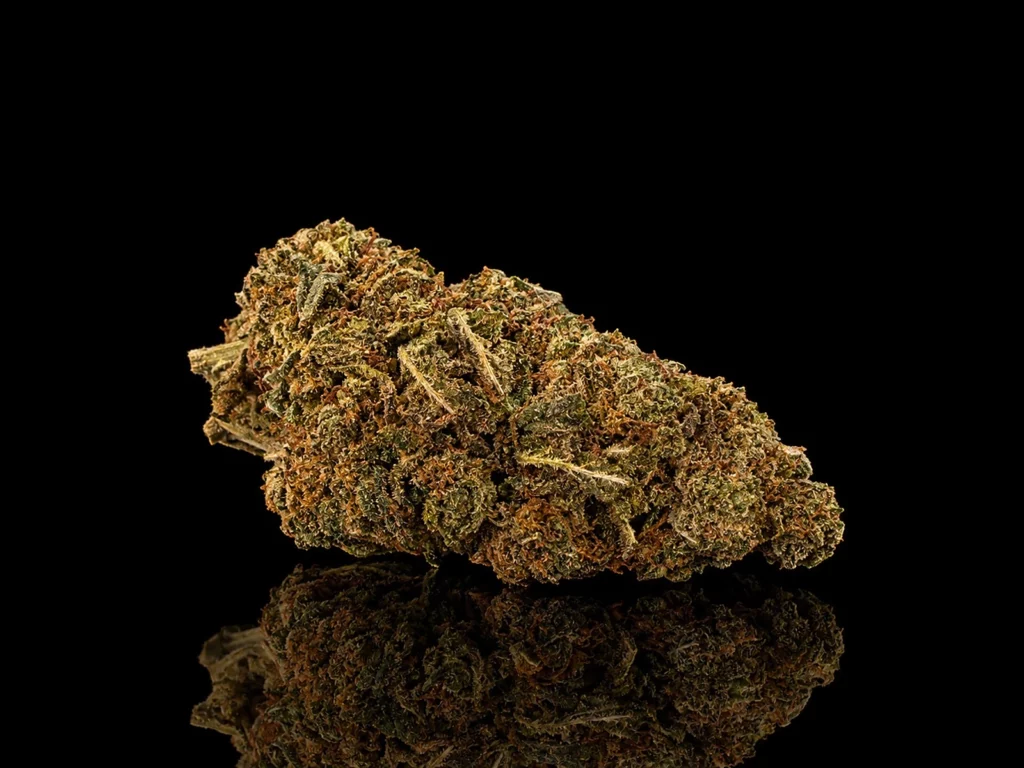 Fleur CBD Orange Bud : tête indoor compacte aux pistils orange vif, sur fond noir