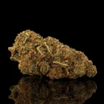 Orange Bud CBD