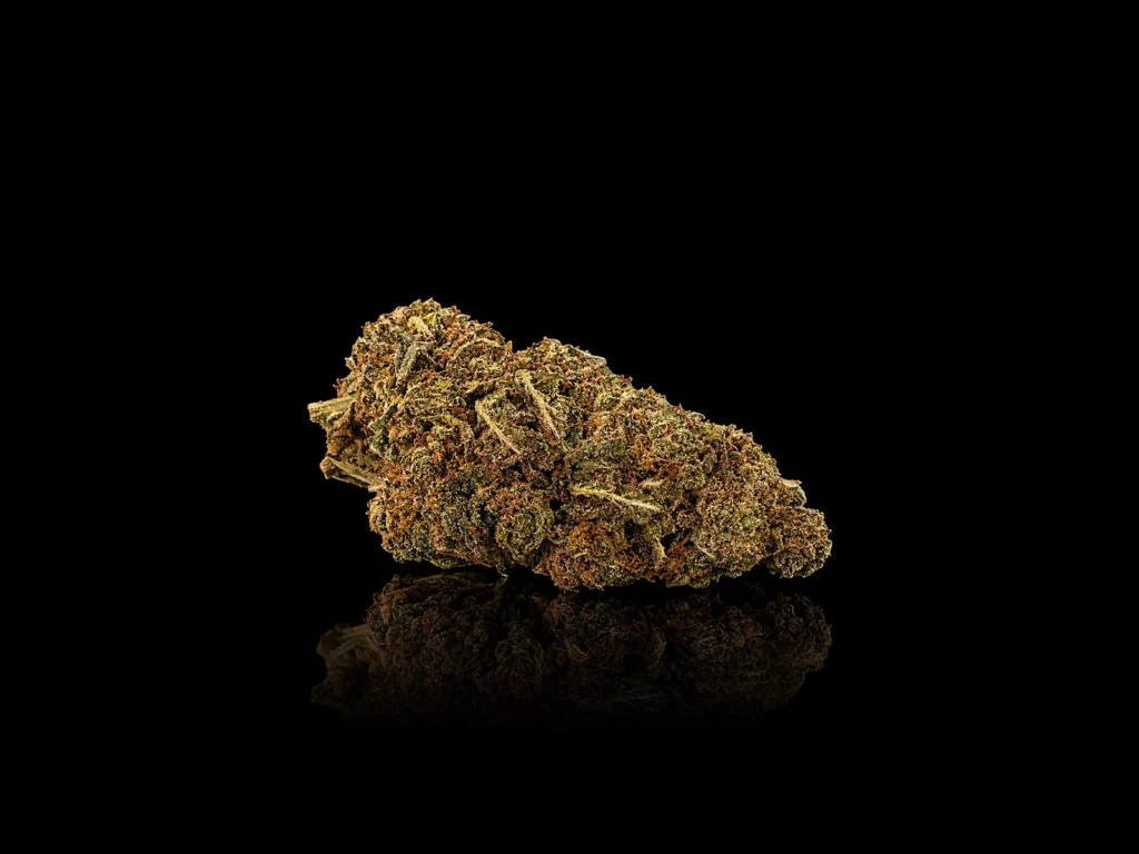 Fleur CBD Orange Bud : tête indoor compacte aux pistils orange vif, sur fond noir