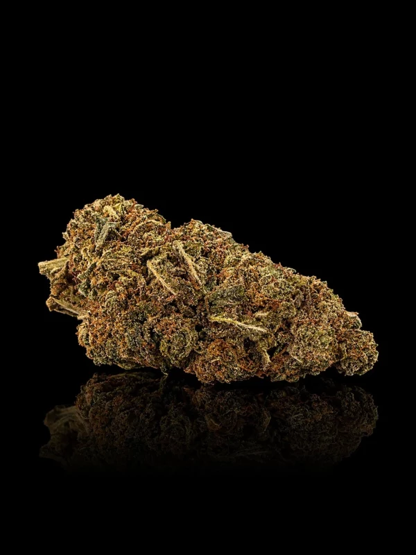 Fleur CBD Orange Bud : tête indoor compacte aux pistils orange vif, sur fond noir