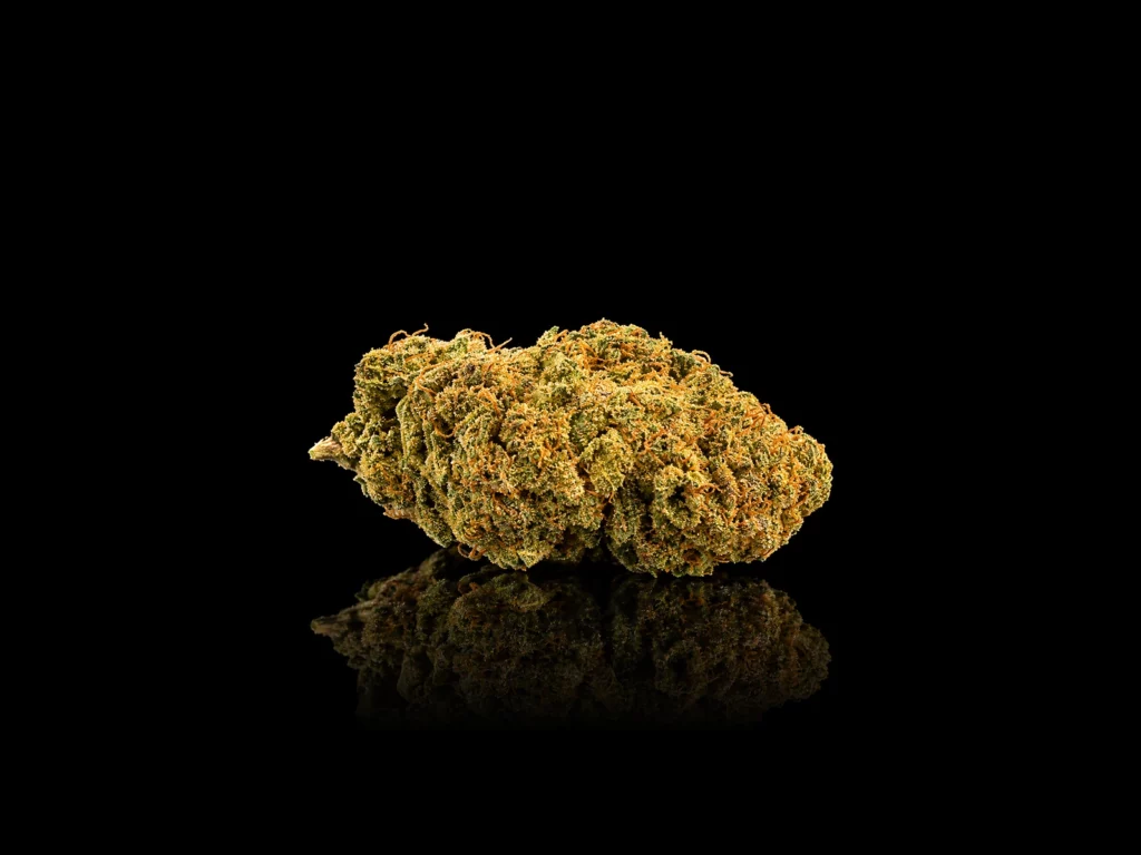 Fleur CBD Phantom OG : tête dense vert clair givrée de trichomes aux pistils orange vif, sur fond noir