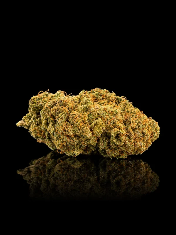 Fleur CBD Phantom OG : tête dense vert clair givrée de trichomes aux pistils orange vif, sur fond noir