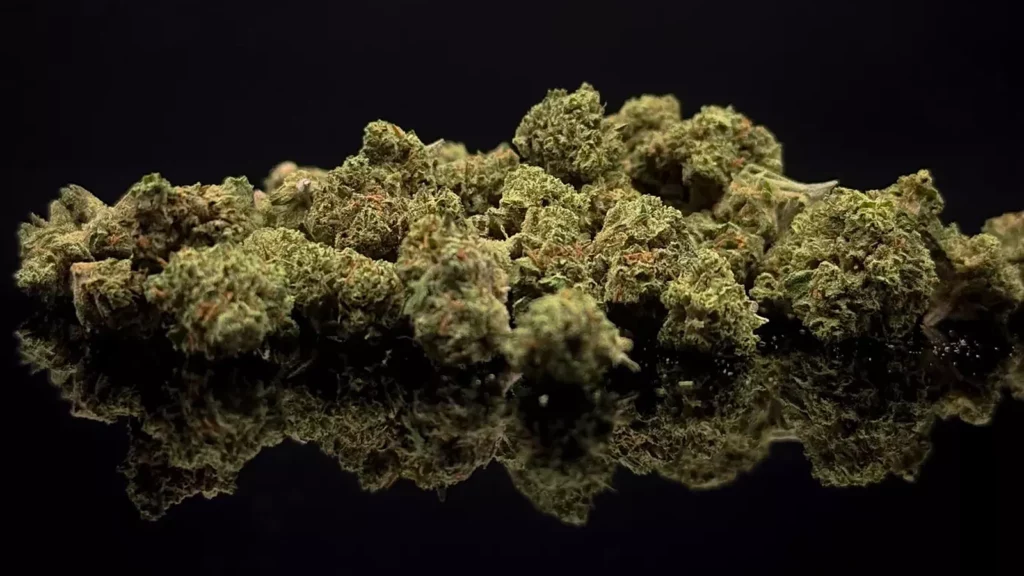 Small buds CBD : les petits bourgeons issus de la même culture indoor