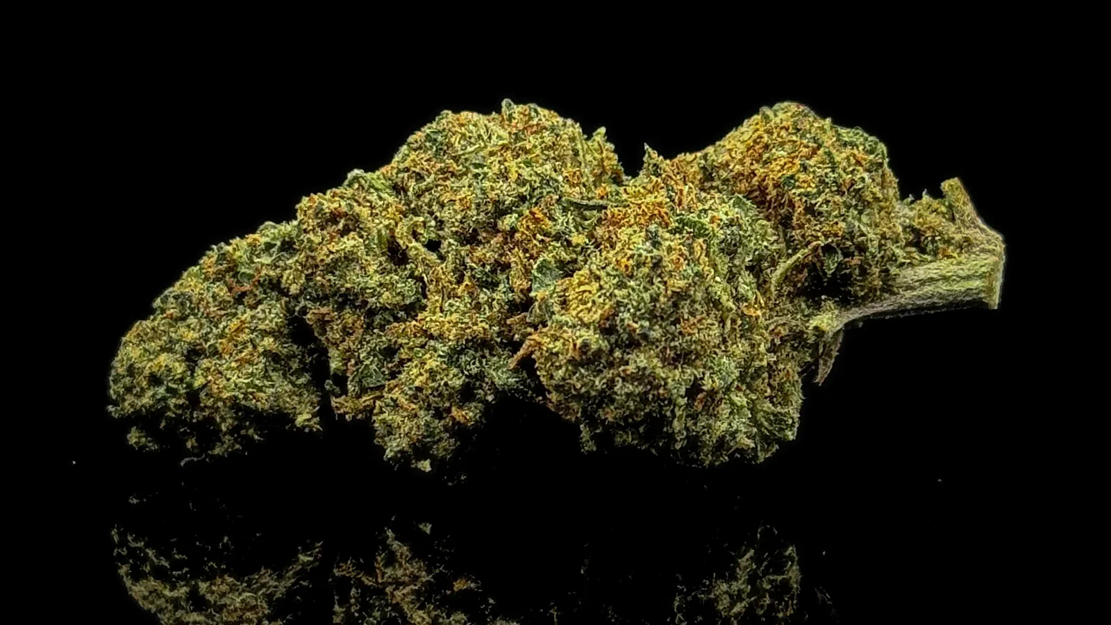 Peut-on voyager avec du CBD ? Avion, train et douane : ce qu&rsquo;il faut savoir (2026)