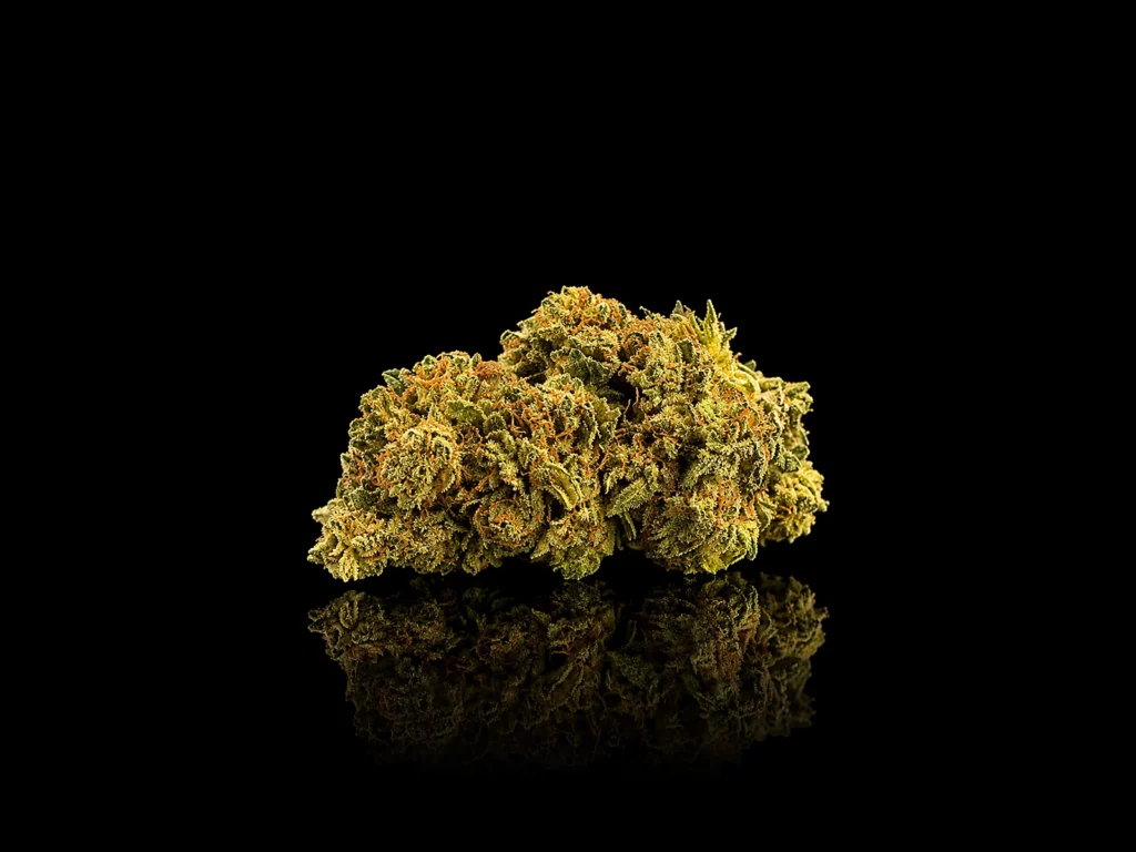 Gaz Berry, fleur CBC - Nature Lab