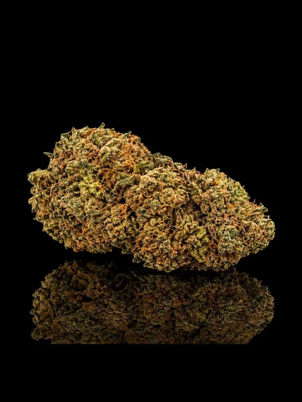 Fleur CBC Orange Bud : tête indoor compacte aux pistils orange vif - Nature Lab